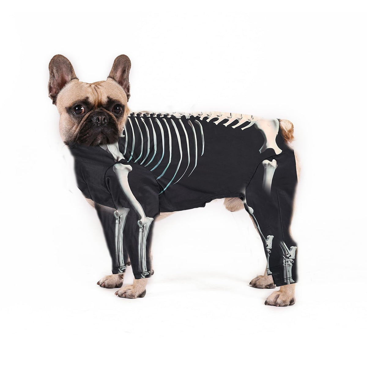 Bruno & Co. Halloween Skeleton Dog Costume